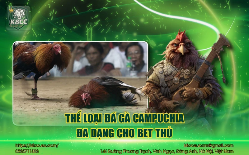 Thể loại đá gà Campuchia đa dạng cho bet thủ