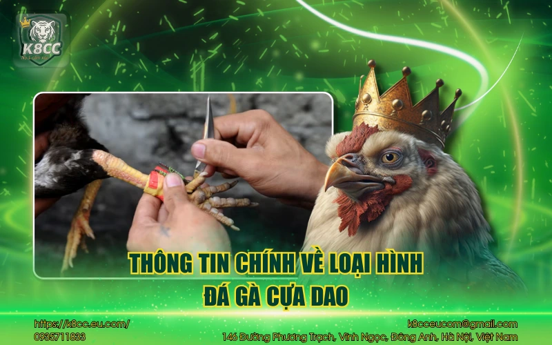 Thông tin chính về loại hình đá gà cựa dao