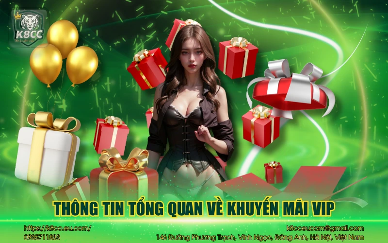 Thông tin tổng quan về khuyến mãi VIP